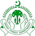 Sindh Forests News